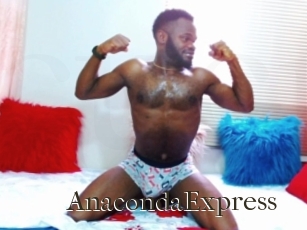 AnacondaExpress