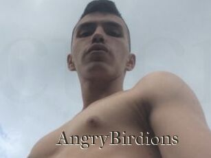 AngryBirdions