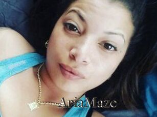 Aria_Maze