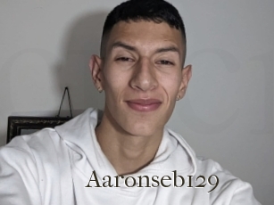 Aaronseb129