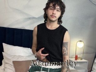 Adammarley