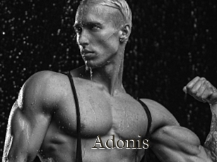 Adonis