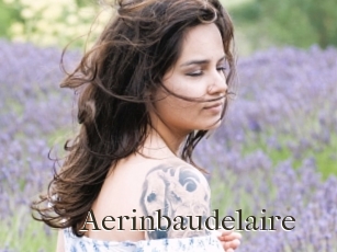 Aerinbaudelaire
