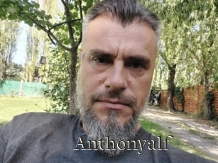 Anthonyalf