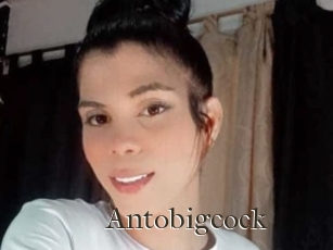 Antobigcock