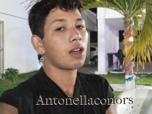 Antonellaconors