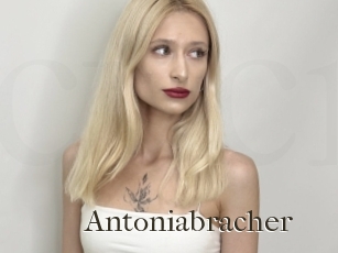 Antoniabracher