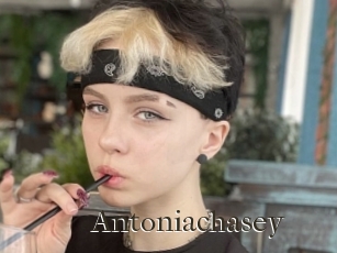 Antoniachasey