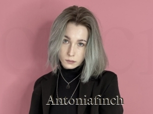 Antoniafinch