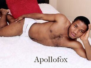 Apollofox