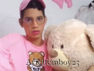 Arielfemboy23