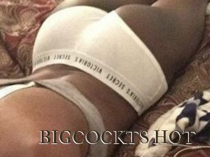 BIGCOCKTS_HOT