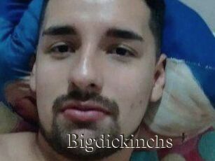 Bigdickinchs