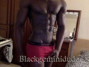 Blackgeminidude