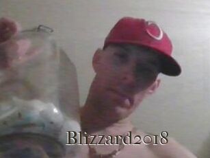 Blizzard2018