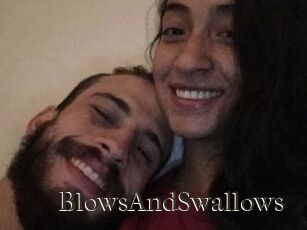 BlowsAndSwallows