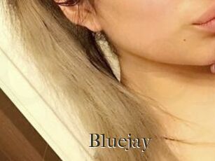 Blue_jay