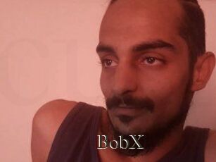 BobX