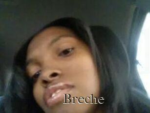 Breche
