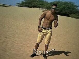 BruceZ