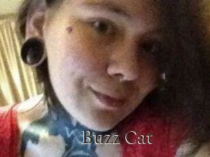 Buzz_Cat