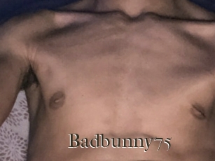 Badbunny75