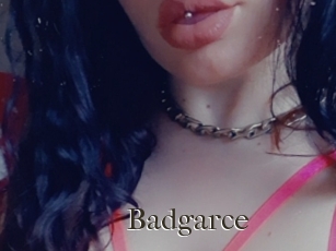 Badgarce