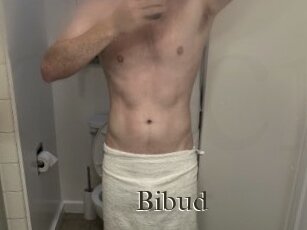 Bibud