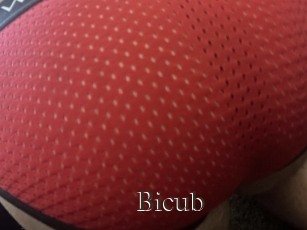Bicub