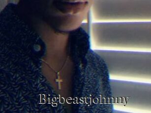 Bigbeastjohnny