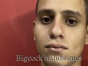 Bigcock_handsomes