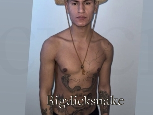 Bigdicksnake