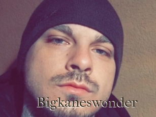 Bigkaneswonder