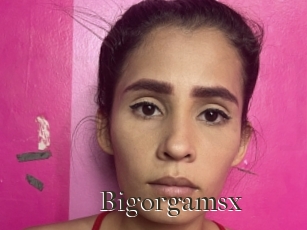 Bigorgamsx