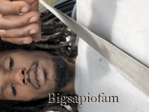 Bigsapiofam