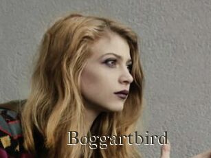 Boggartbird