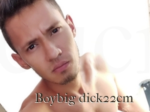 Boybig_dick22cm