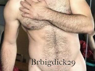 Brbigdick29