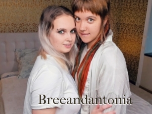 Breeandantonia