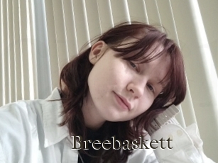 Breebaskett