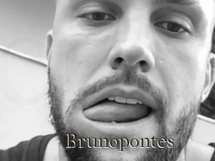 Brunopontes