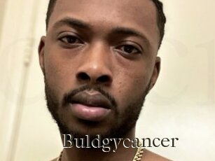 Buldgycancer