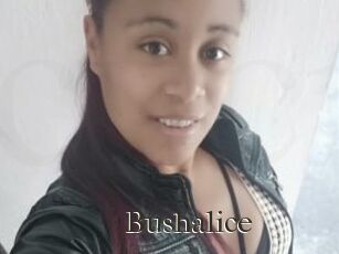 Bushalice