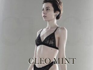 CLEO_MINT