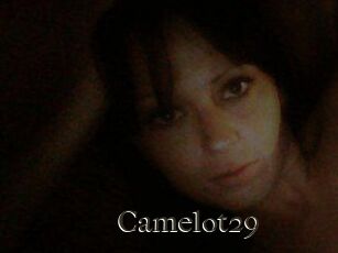 Camelot29