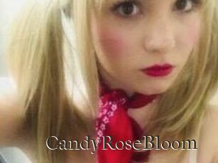 CandyRoseBloom