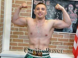 CarlitoBoxer