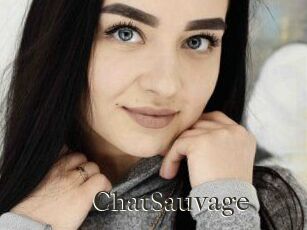 ChatSauvage