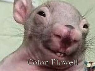 Colon_Plowell