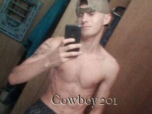 Cowboy201